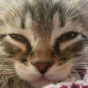 Meet your Posher, Jasmine